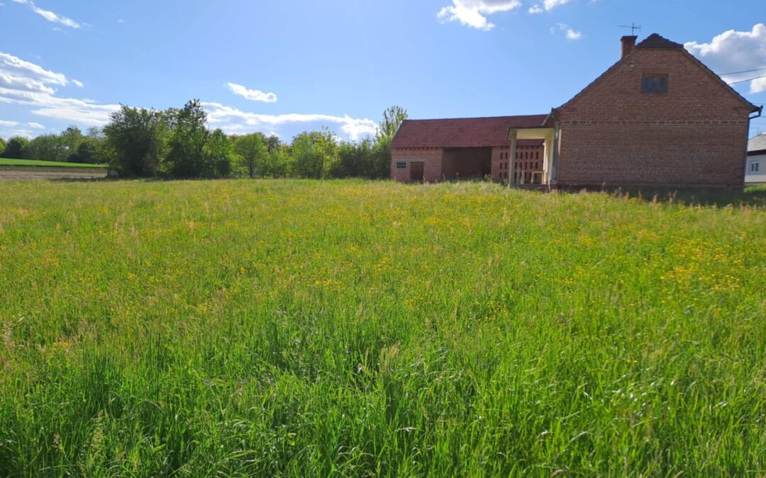 Lapšina, Sv. Martin na Muri – građevinsko zemljište s kućom za rušenje i gospodarskim objektom, ukupne površine 4400 m²